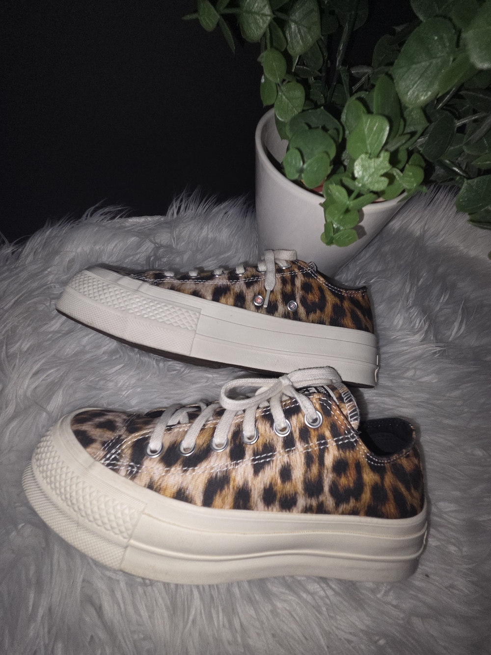 Chuck Taylor Leopard Print Platform Low Tops Lace-Up Sneakers - Women Size 7 - Picture 6 of 12